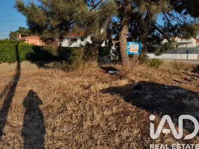 Terreno em São Simão