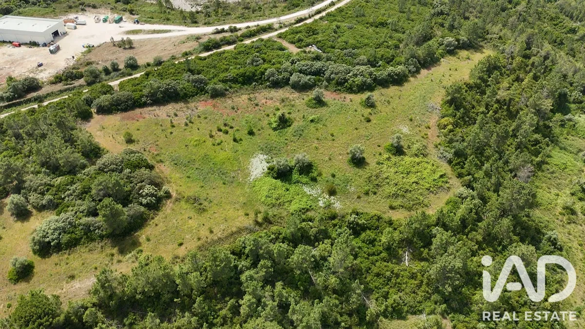 Terreno rústico de 81 280 m² em Malaqueijo