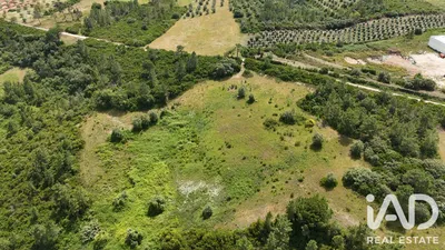 Fotografia 3 de Terreno rústico de 81 280 m² em Malaqueijo