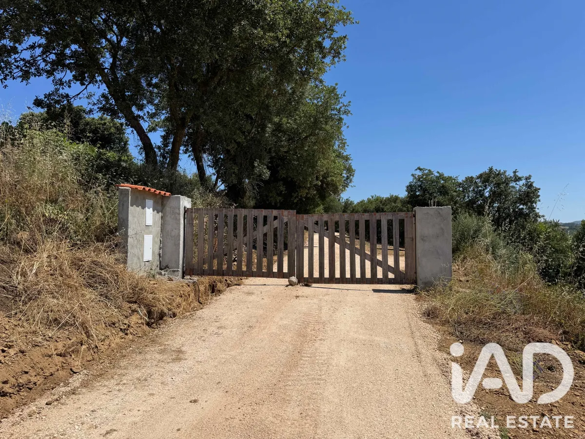 Terreno de 9800 m² em Cheleiros
