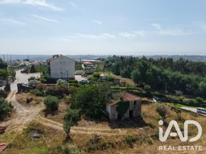 Terreno  em Santa Comba Dão