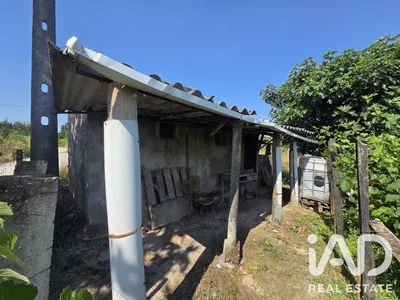 Fotografia 3 de Terreno rústico de 1100 m² em Santa Comba Dão