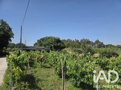 Fotografia 9 de Terreno urbano de 403 m² em Santa Comba Dão