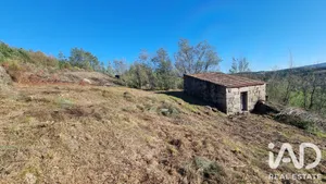 Terreno rústico  em Vila Soeiro do Chão