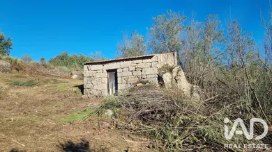 Terreno rústico em Vila Soeiro do Chão