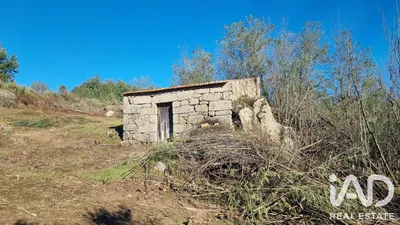 Fotografia 3 de Terreno rústico de 10 500 m² em Vila Soeiro do Chão