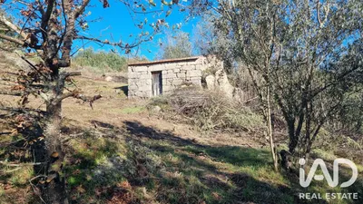 Fotografia 1 de Terreno rústico de 10 500 m² em Vila Soeiro do Chão