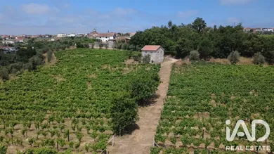 Quinta agrícola em Carvalhal Redondo