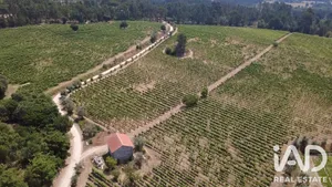 Quinta agrícola em Carvalhal Redondo