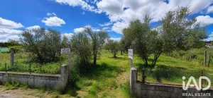 Terreno misto em Cepões