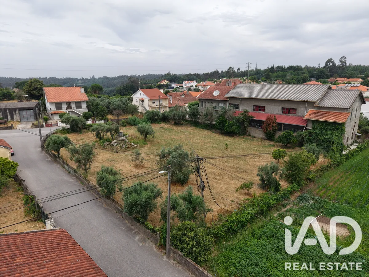 Terreno de 2000 m² em Carregal do Sal