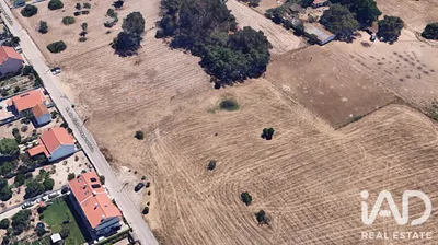 Fotografia 3 de Terreno rústico de 6693 m² em Montijo
