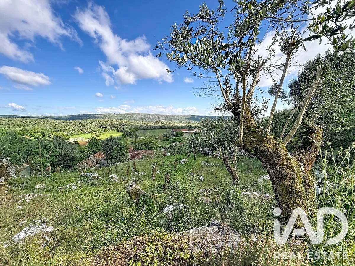 Terreno de 880 m² em Arrimal