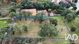 Terreno rústico em Figueiró dos Vinhos