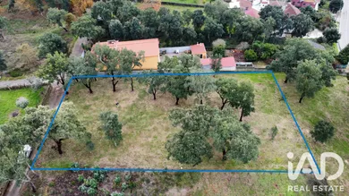 Terreno rústico em Figueiró dos Vinhos
