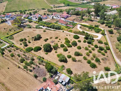 Farm  in Carregado