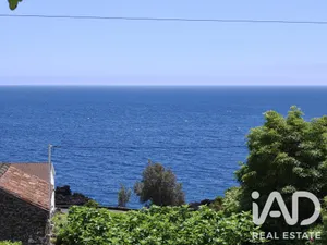 Land  in Ribeiras
