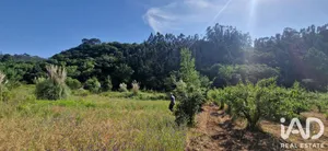 Terreno rústico em SOBRAL DA ABELHEIRA