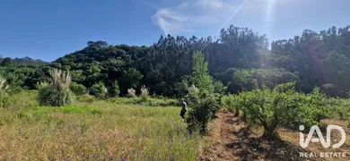 Terreno rústico em SOBRAL DA ABELHEIRA