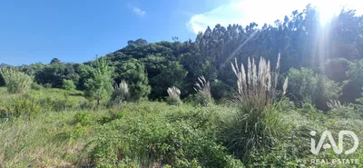 Fotografia 3 de Terreno rústico de 14 311 m² em SOBRAL DA ABELHEIRA