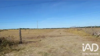 Fotografia 3 de Terreno rústico de 15 000 m² em S. Domingos de Ana Loura