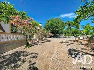 Rural farm in Elvas