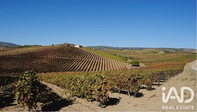 Quinta agrícola em Nabo