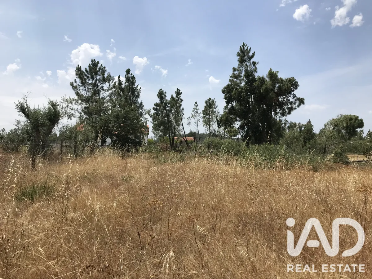 Terreno urbano de 3000 m² em Freixianda