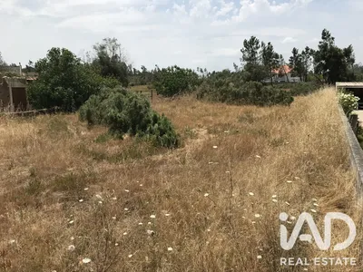 Fotografia 3 de Terreno urbano de 3000 m² em Freixianda