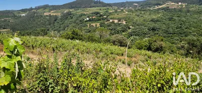 Fotografia 3 de Terreno rústico de 9499 m² em MAFRA