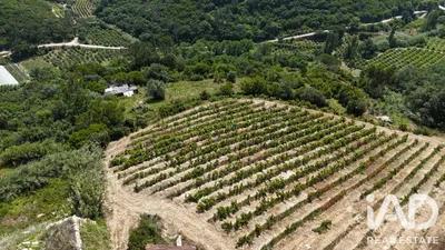 Fotografia 7 de Terreno de 917 m² em Malveira e São Miguel de Alcainça