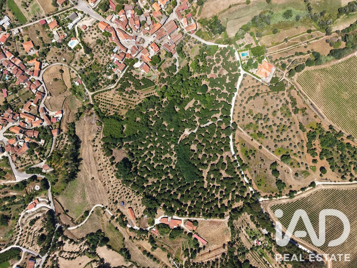 Terreno de 52 852 m² em Carregal do Sal