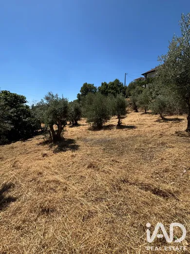 Terreno urbano em Proença-a-Nova