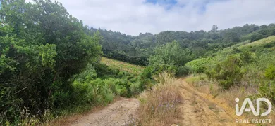 Terreno rústico em BARREIRALVA