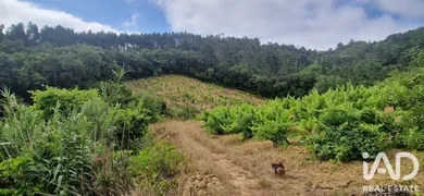 Terreno rústico em BARREIRALVA
