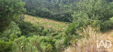 Terreno rústico em BARREIRALVA
