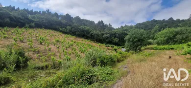Terreno rústico em BARREIRALVA