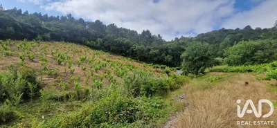 Fotografia 3 de Terreno rústico de 4187 m² em BARREIRALVA