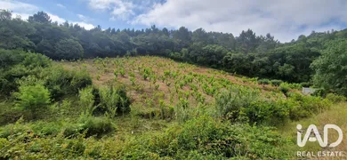 Terreno rústico em BARREIRALVA