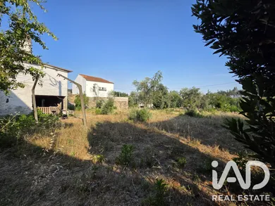 Casa/Moradia em Santa Comba Dão