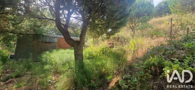 Terreno rústico em AZUEIRA