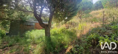 Fotografia 3 de Terreno rústico de 5875 m² em AZUEIRA