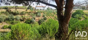 Terrain agricole   à AZUEIRA
