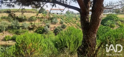 Fotografia 4 de Terreno de 4250 m² em Sobral da Abelheira