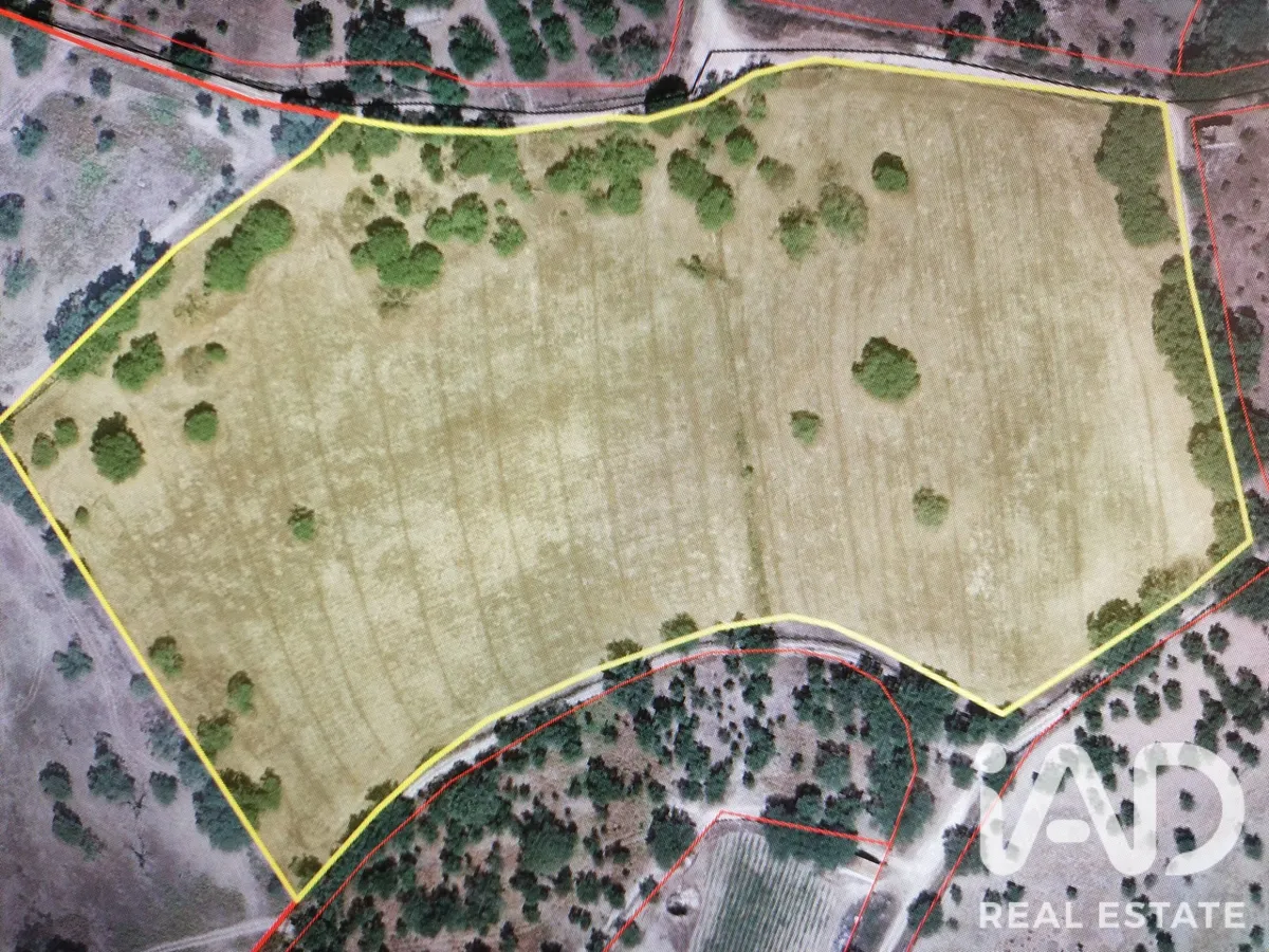 Terreno rústico de 44 500 m² em Portalegre