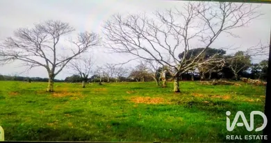 Terreno rústico em Portalegre