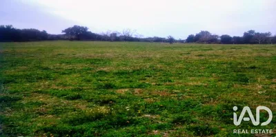 Fotografia 3 de Terreno rústico de 44 500 m² em Portalegre