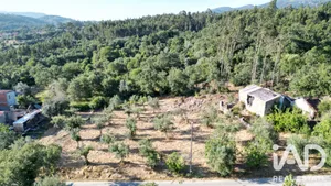Maison à Cumeeira