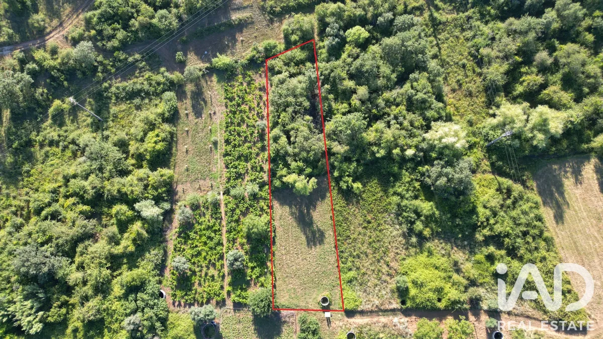 Terreno rústico de 1270 m² em Avelar