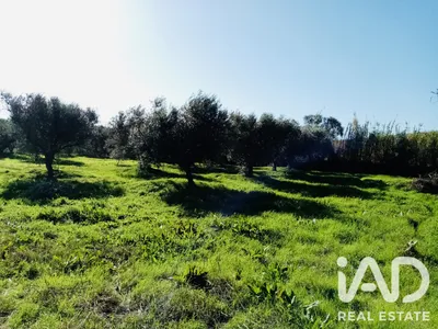 Fotografia 1 de Terreno rústico de 8000 m² em Pedrógão